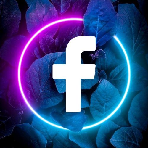 facebook img 2